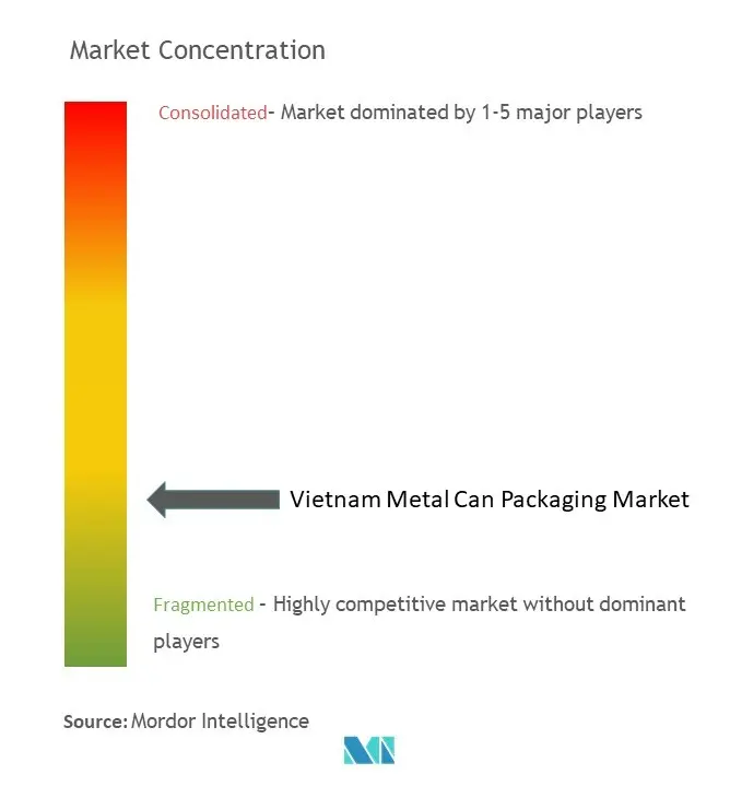 Vietnam Metal Can Packaging Market Concentration