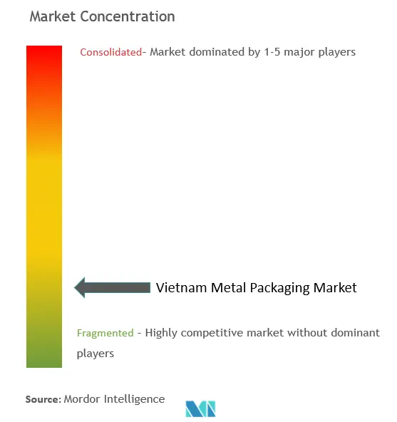 Vietnam Metal Packaging Market Concentration