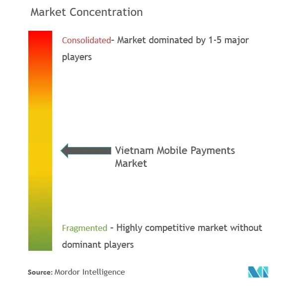 Vietnam Mobile Payments Market Concentration