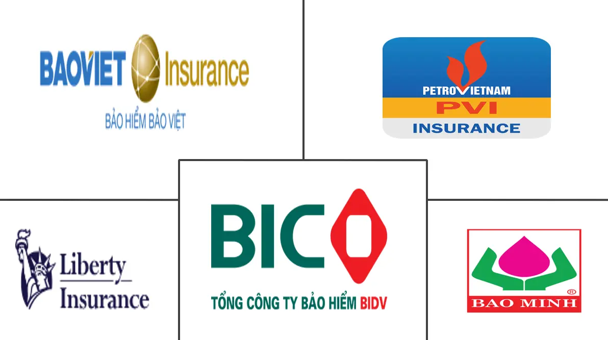 Vietnam Motor Insurance Market Major Players