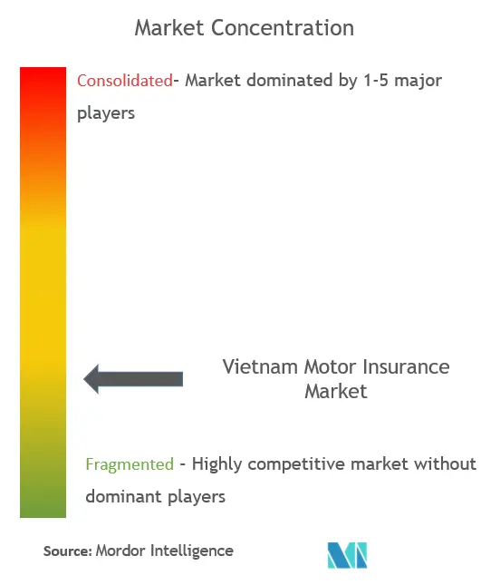 Vietnam Motor Insurance Market Concentration
