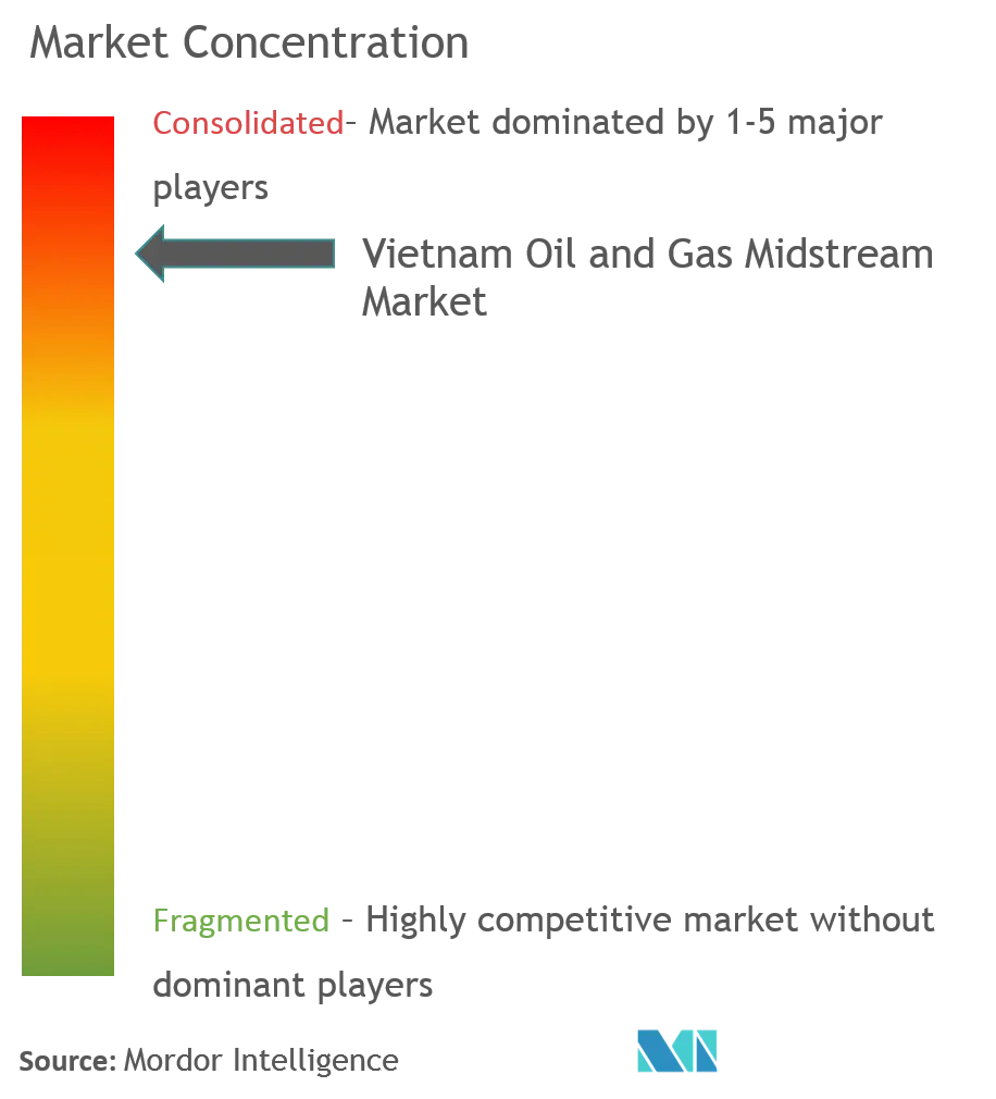 Vietnam Oil and Gas Group, PJSC Rosneft Oil Company, Perenco SA, Vietnam National Petroleum Group, Vietsovpetro