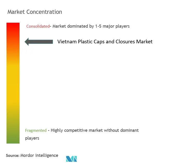 Vietnam Plastic Caps and Closures Market Concentration