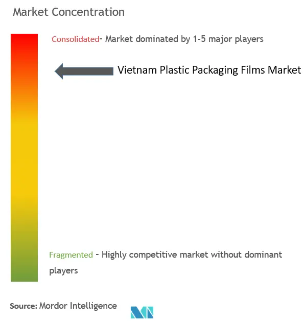 Vietnam Plastic Packaging Films Market Concentration