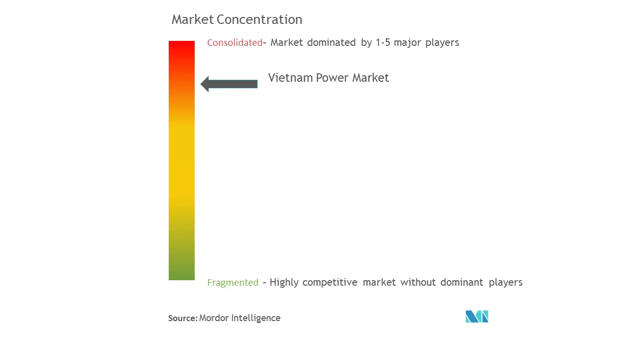 poder vietnamitaConcentración del Mercado