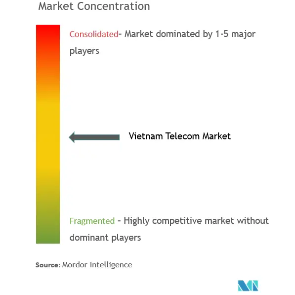 Vietnam Telecom Market Concentration