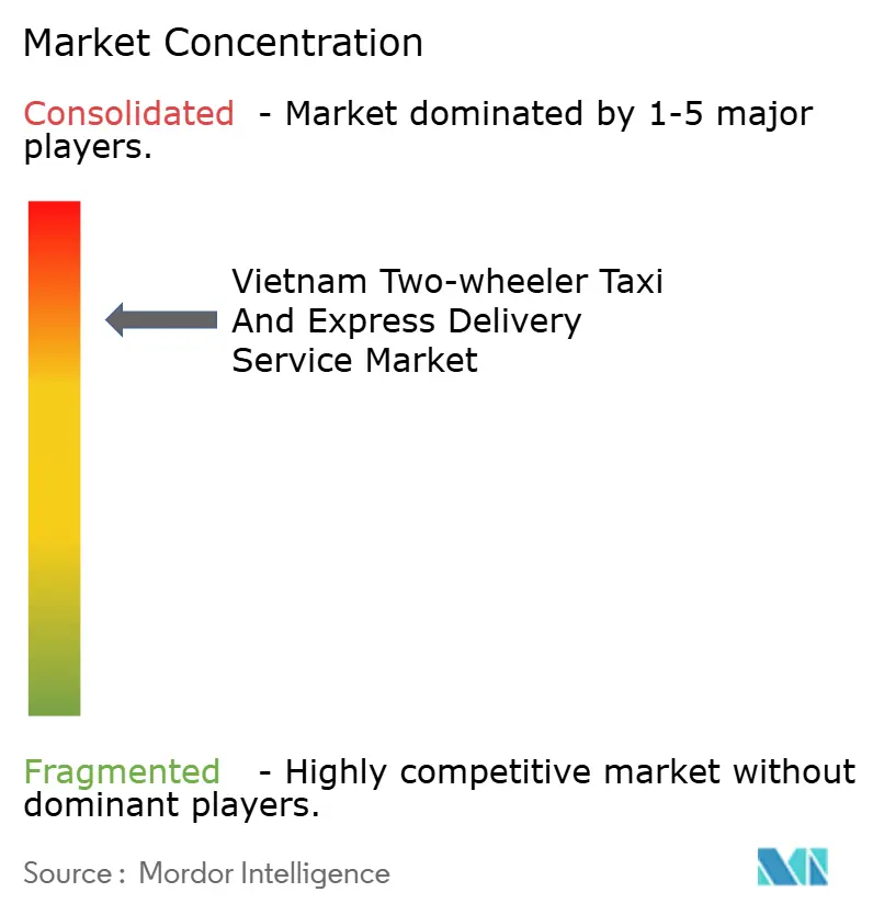 Vietnam Two-wheeler Taxi And Express Delivery Service Market  Concentration