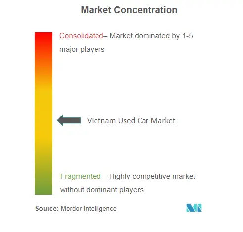 Vietnam Used Car Market Concentration