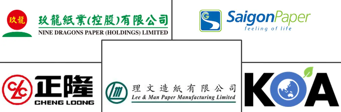 Major players in Vietnam Containerboard industry
