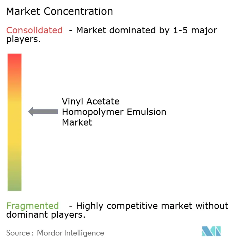 Vinyl Acetate Homopolymer Emulsion Market Concentration