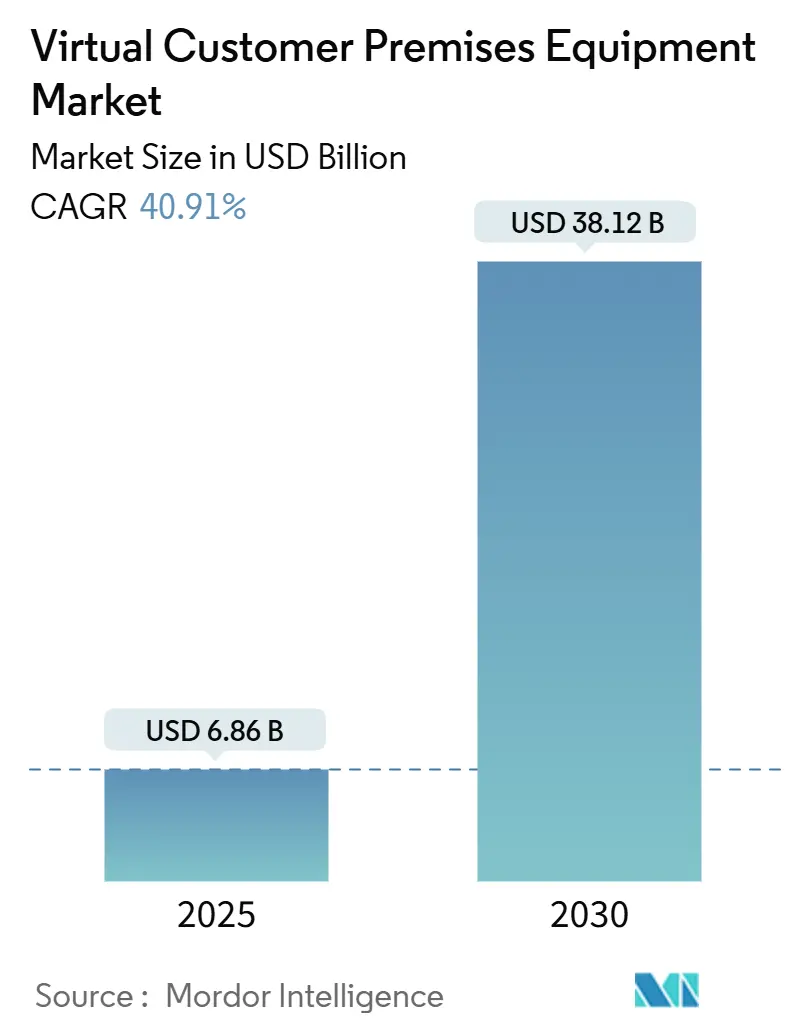 Virtual Customer Premises Equipment Market (2025 - 2030)