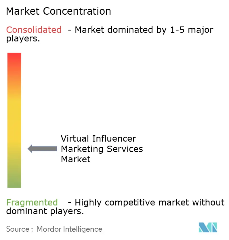 Virtual Influencer Marketing Services Market Concentration