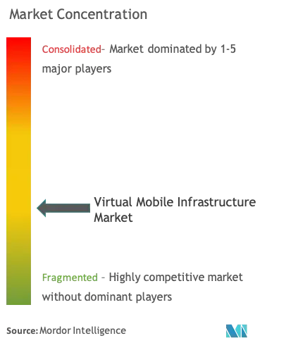 Virtual Mobile Infrastructure Market Concentration