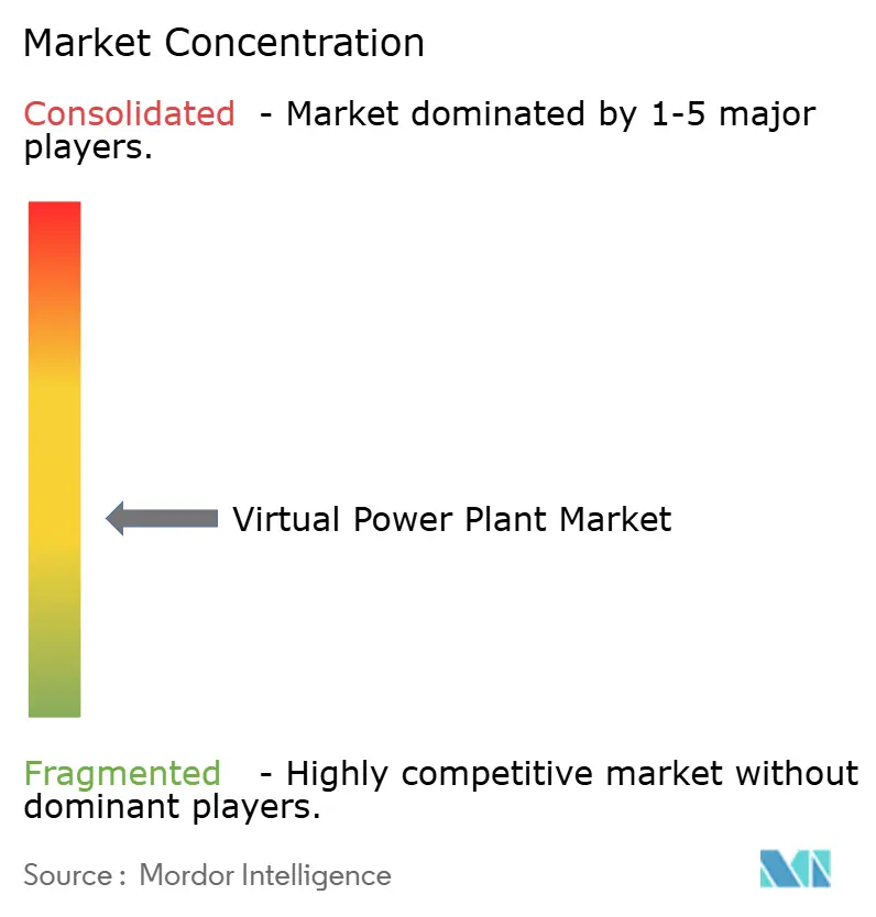 Virtual Power Plant Market Concentration