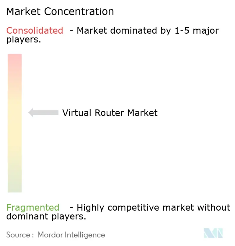 Virtual Router Market Concentration Virtual Router Market Concentration