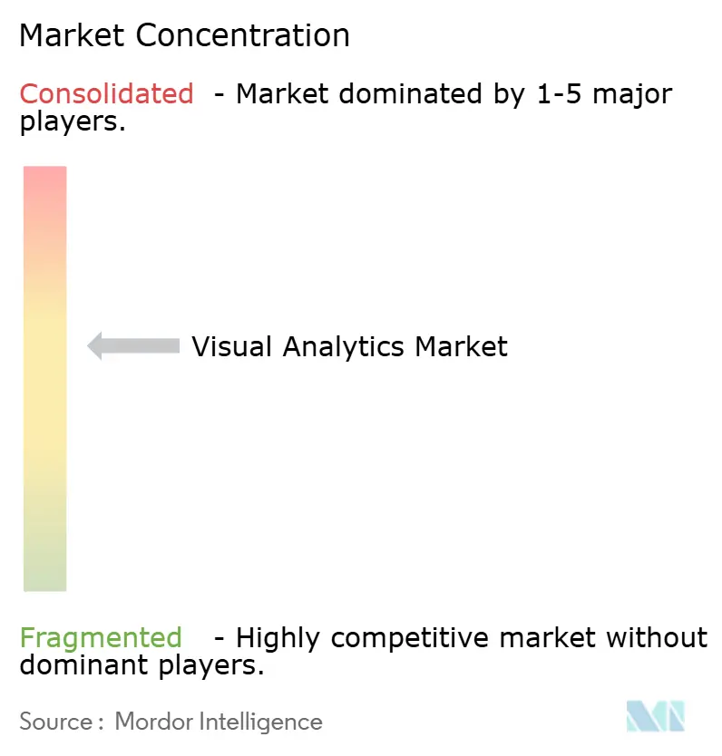 Visual Analytics Market Concentration