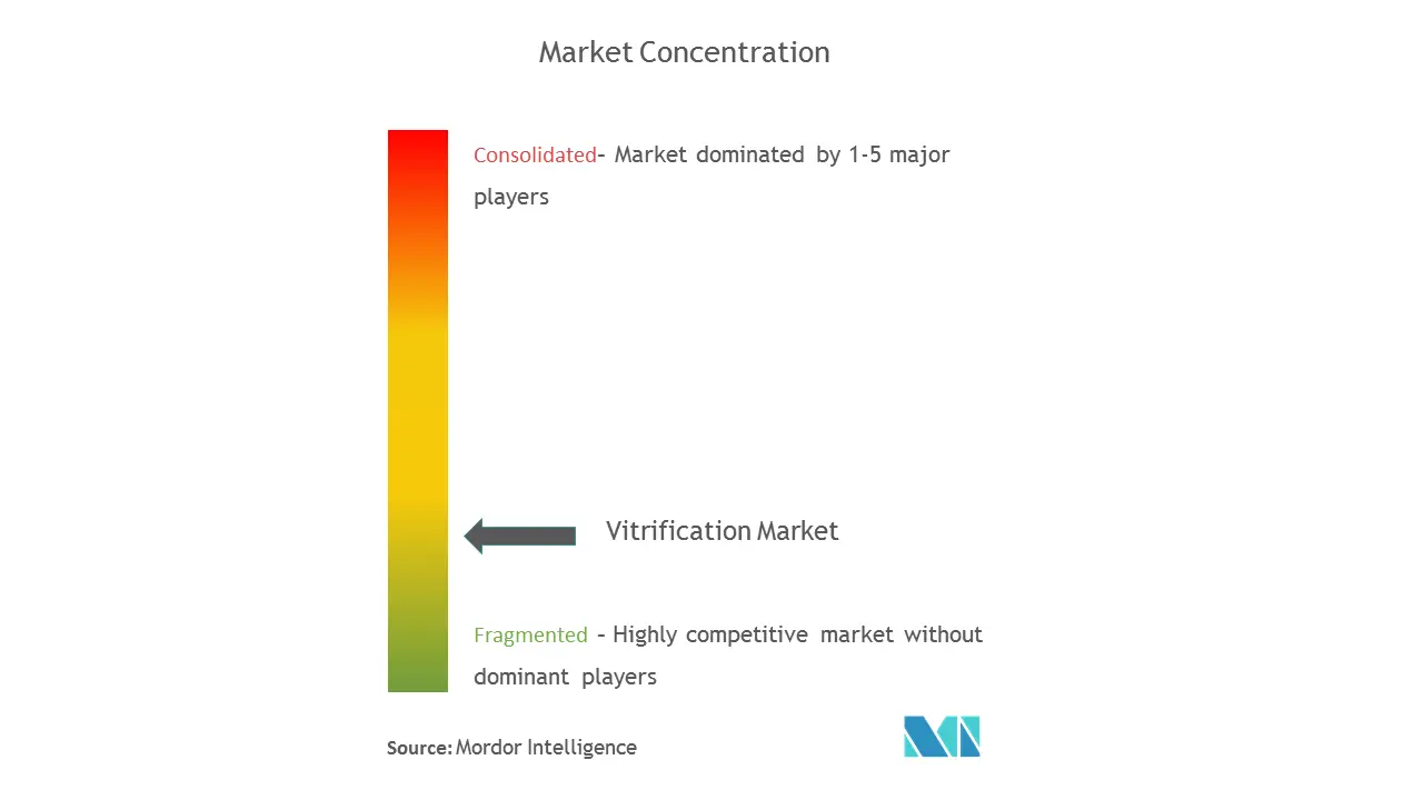 Globale VitrifizierungMarktkonzentration