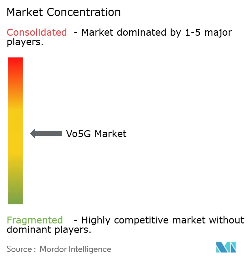 Vo5G市場の集中度