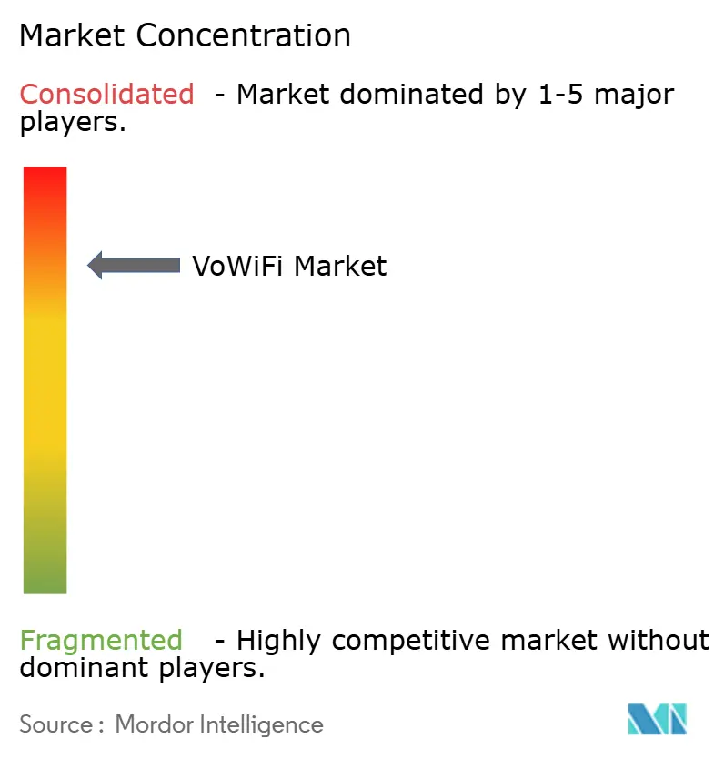 Voice-over WiFi (VoWiFi) Market Concentration