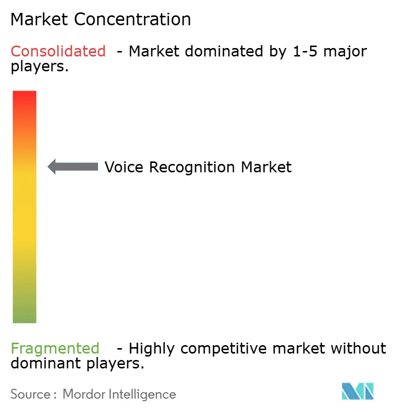 Voice Recognition Market Concentration.png
