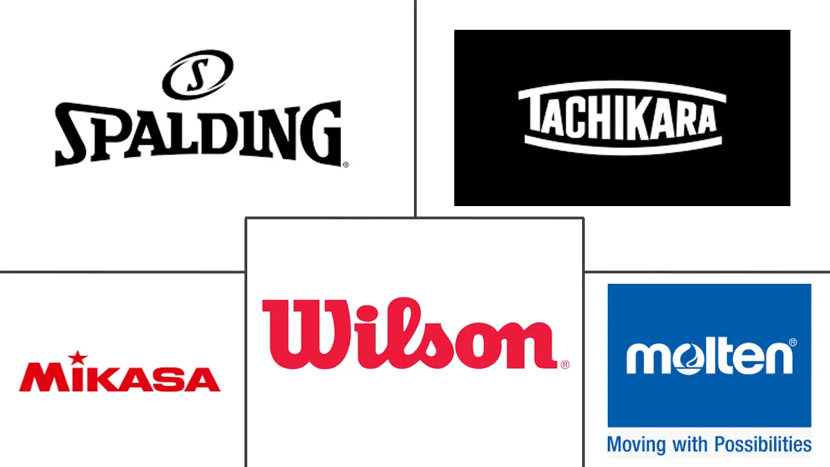 Volleyball Equipment Market Major Players