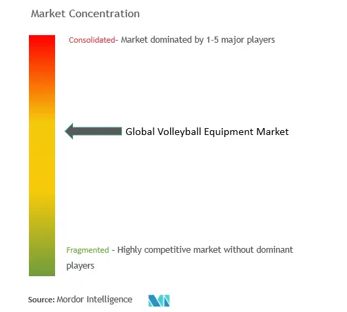 Volleyball Equipment Market Concentration