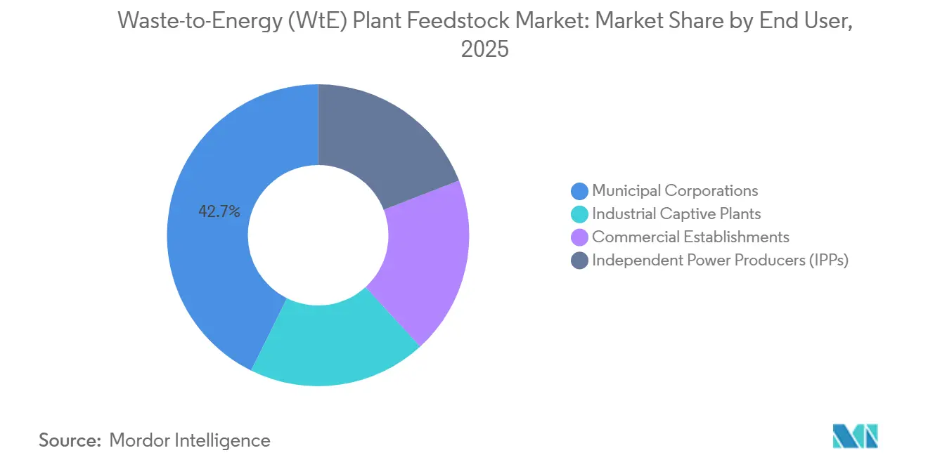 Waste-to-Energy (WtE) Plant Feedstock Market Share by End User, 2025