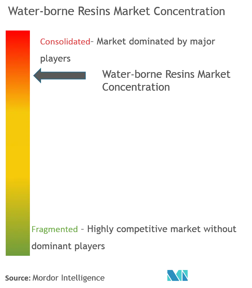 Water-based Resins Market Concentration