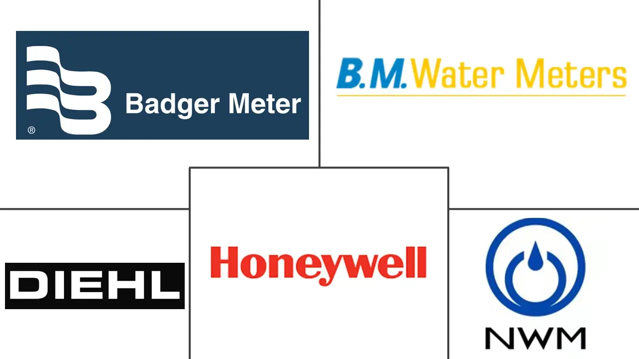 Water Meter Market Major Players