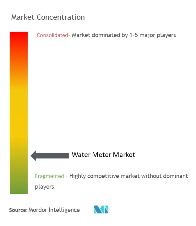 Water Meter Market Concentration