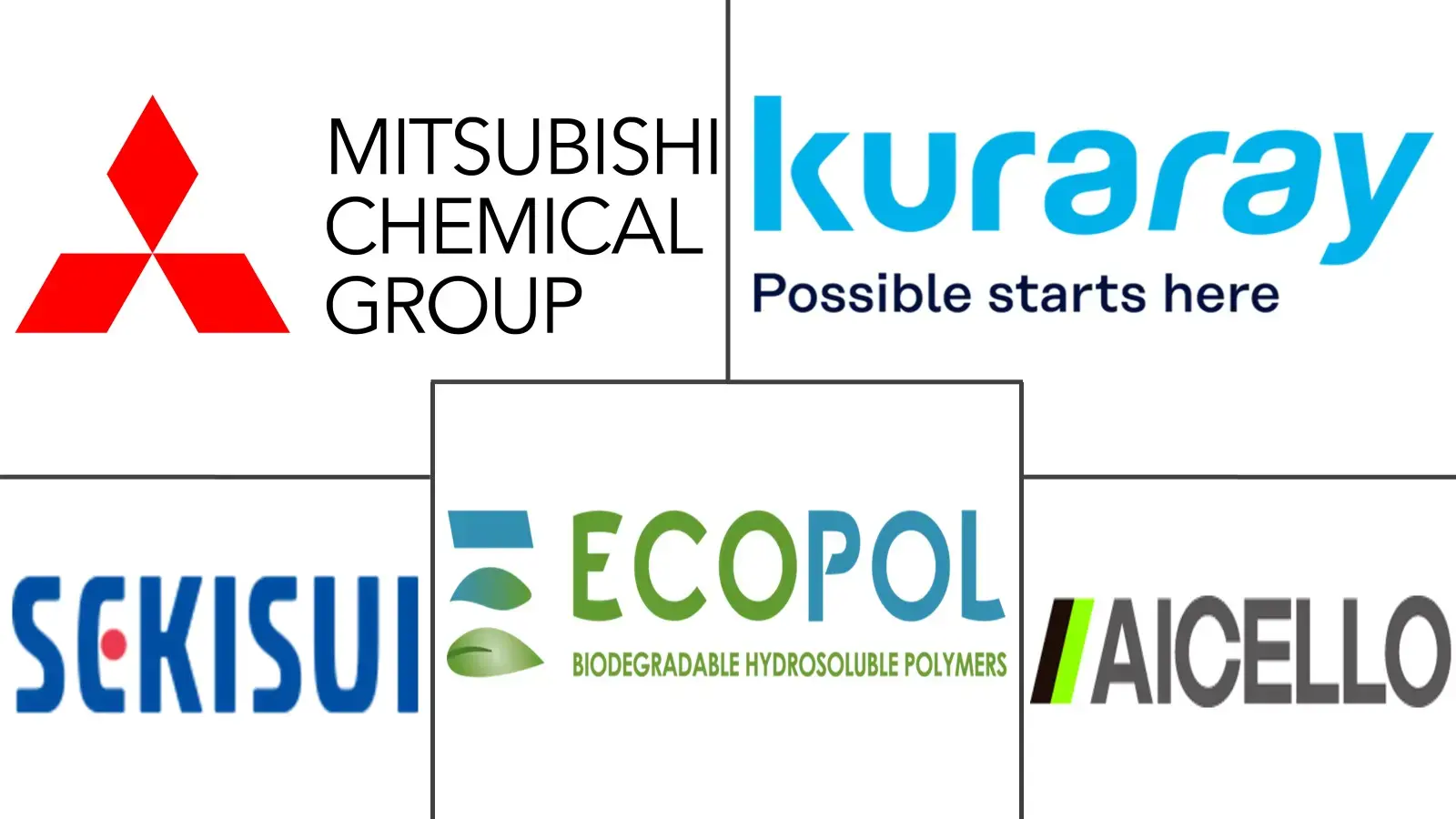 Major players in Water Soluble Films industry