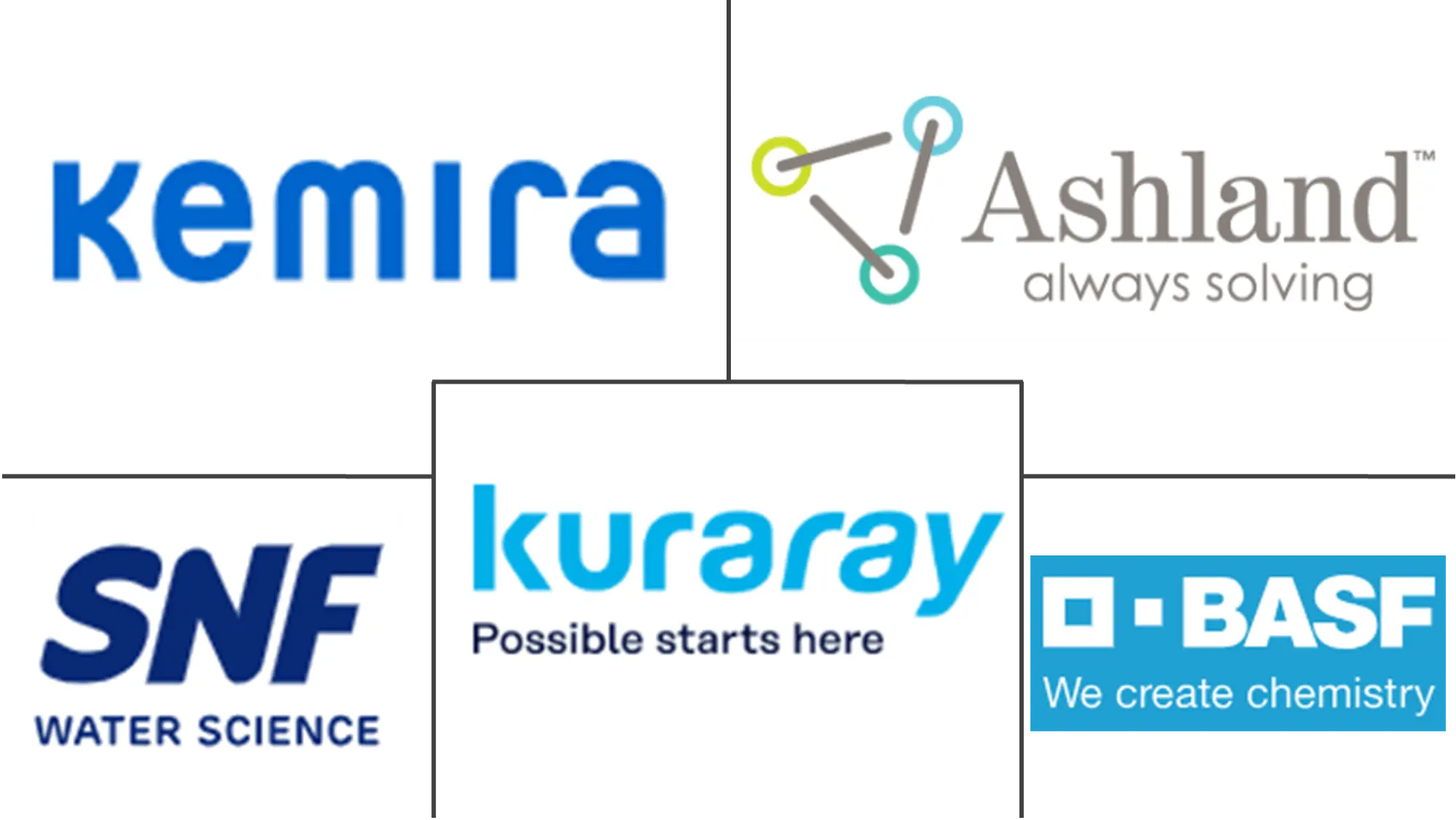 Major players in Water-soluble Polymer industry