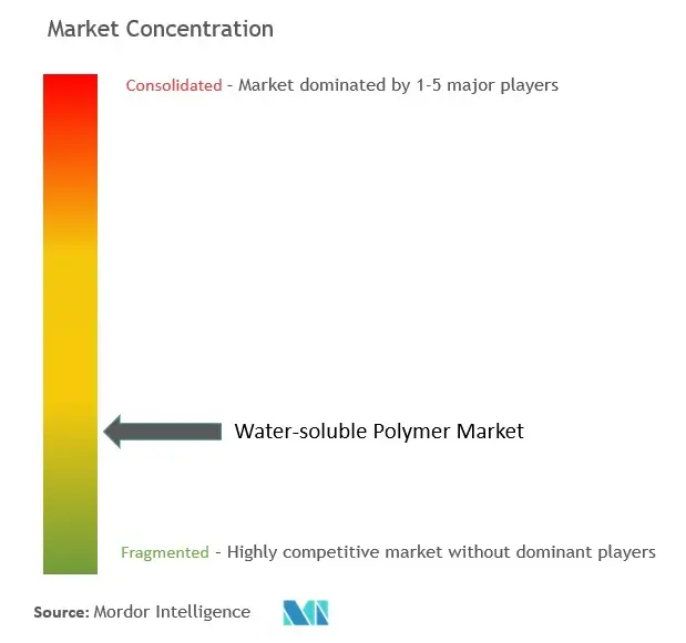 Water-soluble Polymer Market - Market Concentration