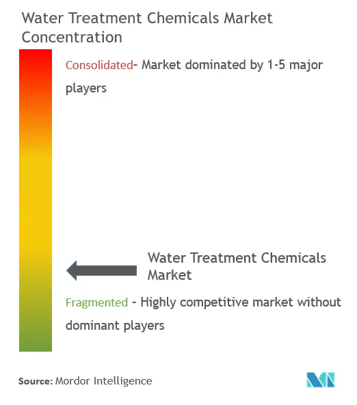 Water Treatment Chemicals Market Concentration