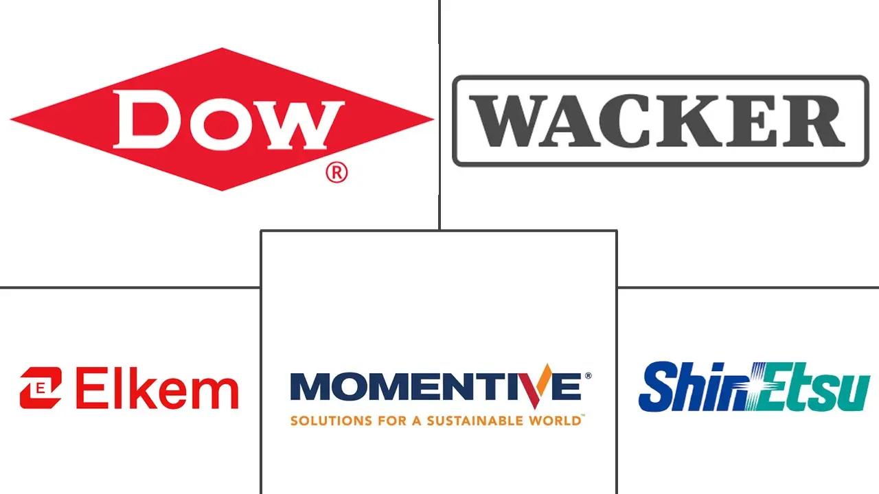 Major players in Waterborne Silicone industry