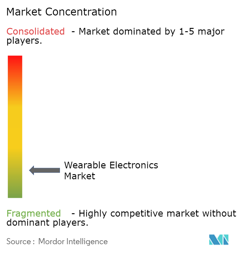 Wearable Electronics Market Concentration