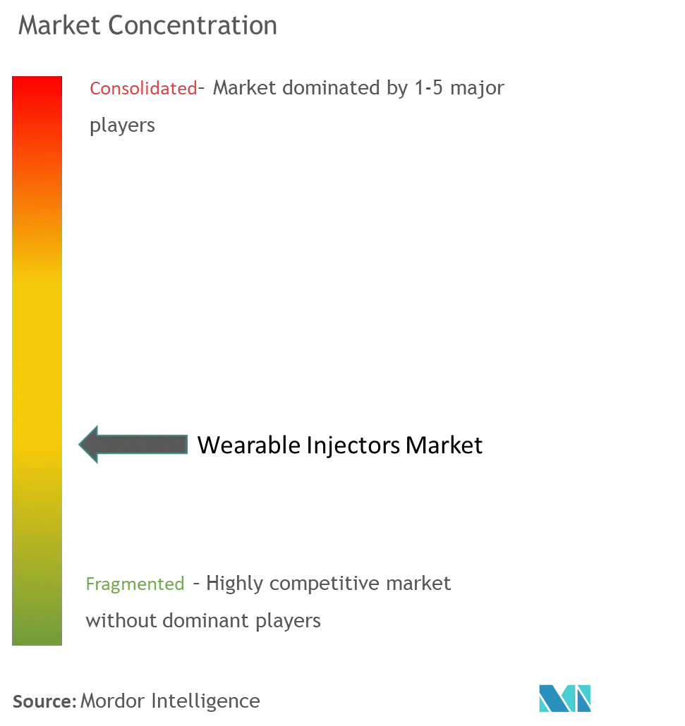 Wearable Injectors Market Concentration