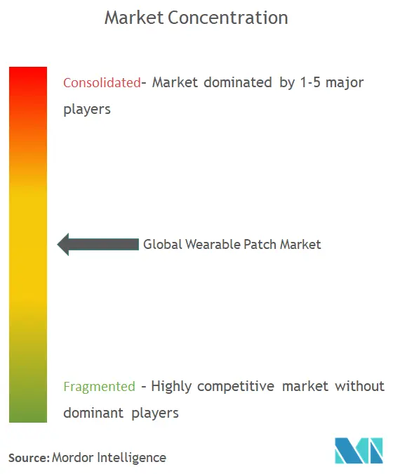 Wearable Patch Market Concentration