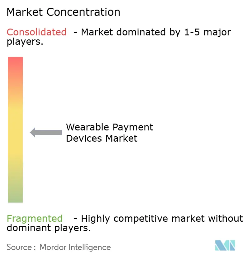 Wearable Payment Devices Market Concentration