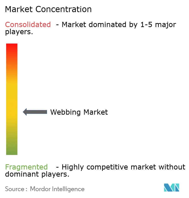 Webbing Market Concentration