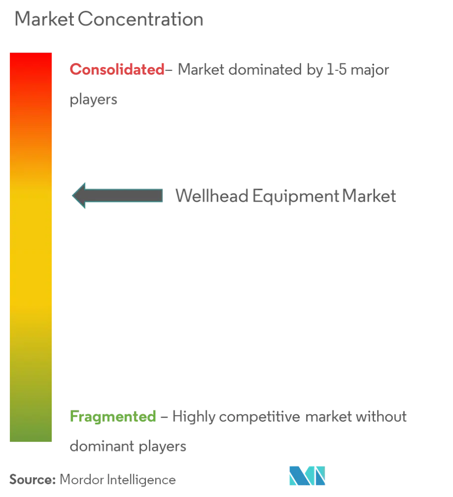 Wellhead Equipment Market Concentration