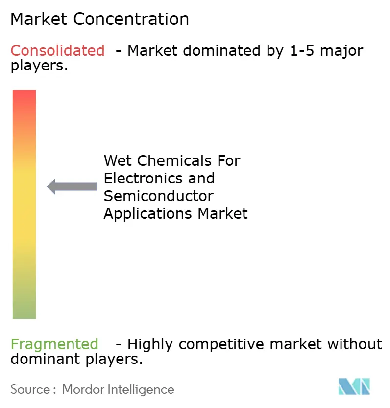 Concentración del Mercado de Productos Químicos Húmedos para Aplicaciones Electrónicas y de Semiconductores
