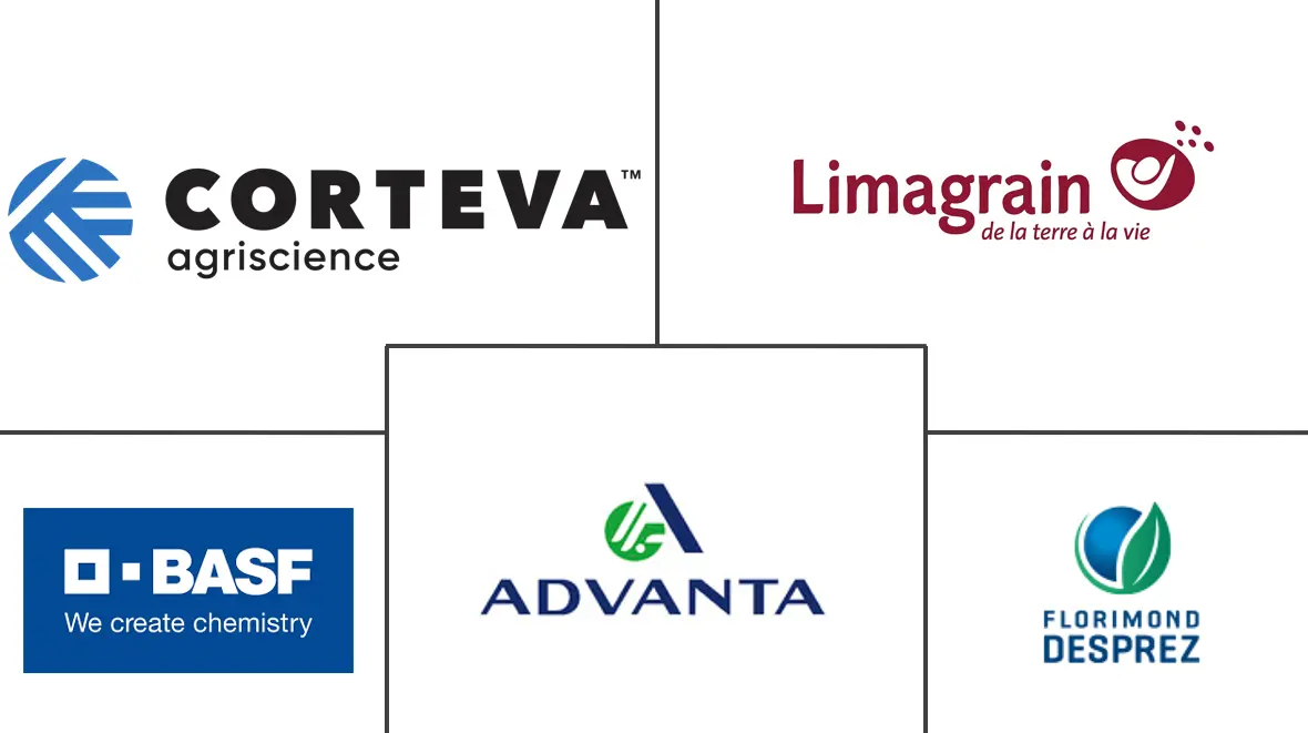 Logo delle aziende correlate