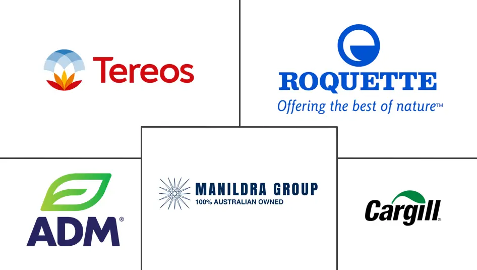 Major players in Wheat Starch industry