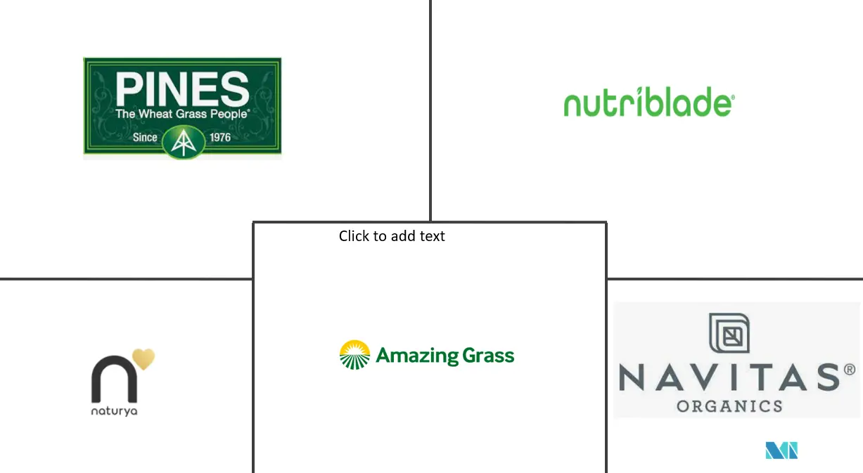 Wheatgrass Product Market Key Players