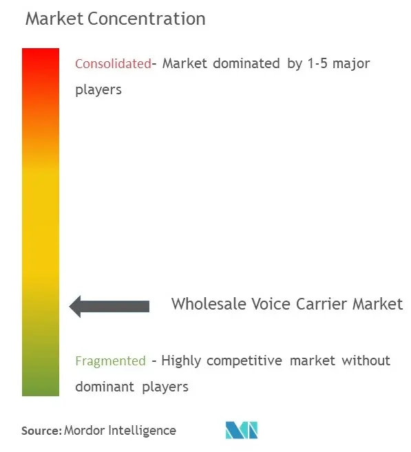 Wholesale Voice Carrier Market Concentration