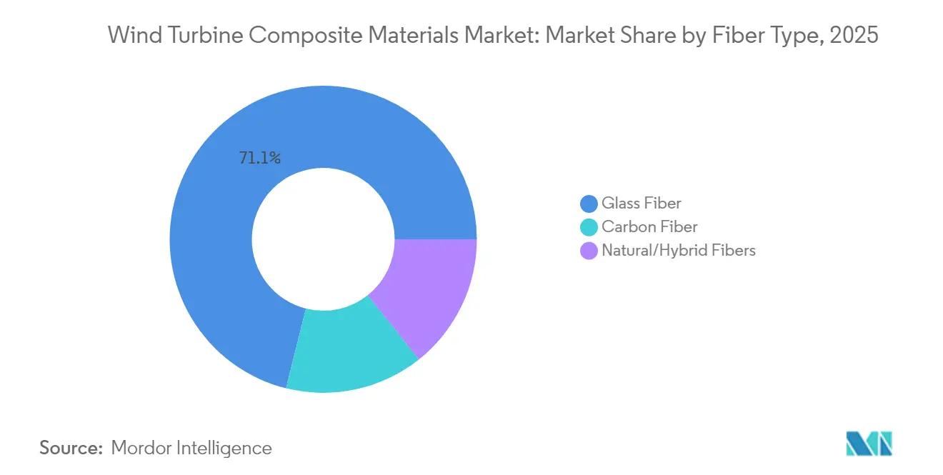 Wind Turbine Composite Materials Market: Market Share by Fiber Type, 2025