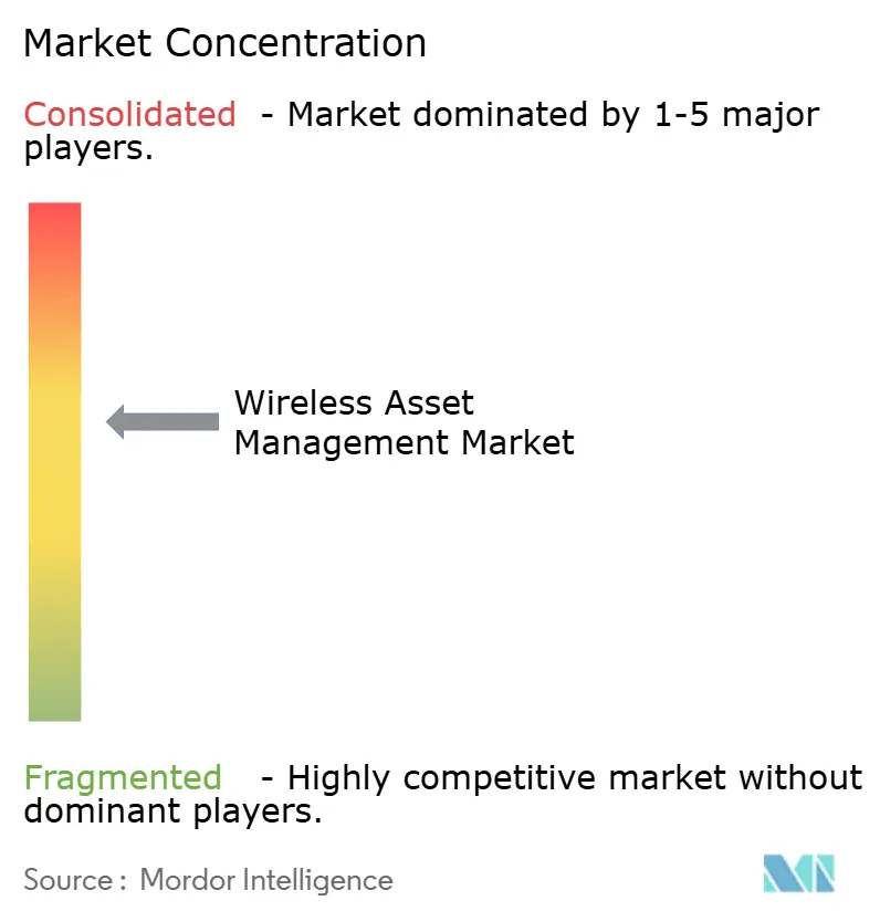 Wireless Asset Management Market Concentration