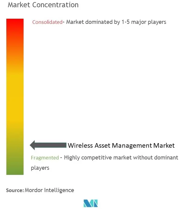 Wireless Asset Management Market Concentration