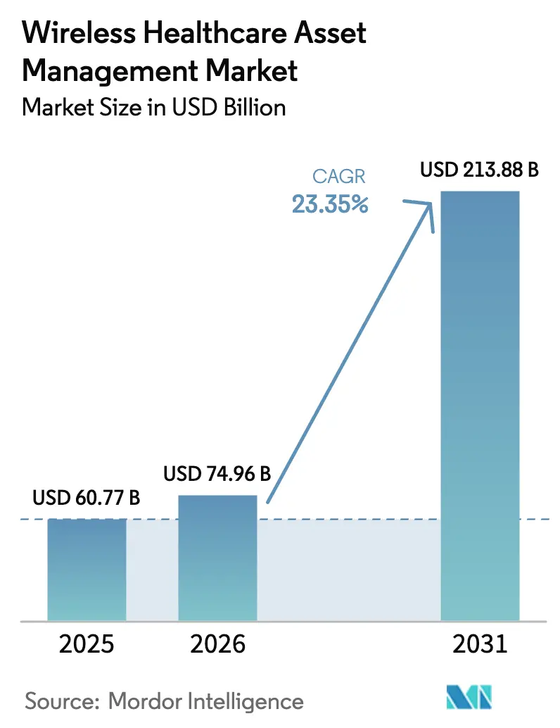 Wireless Healthcare Asset Management Market (2025 - 2030)